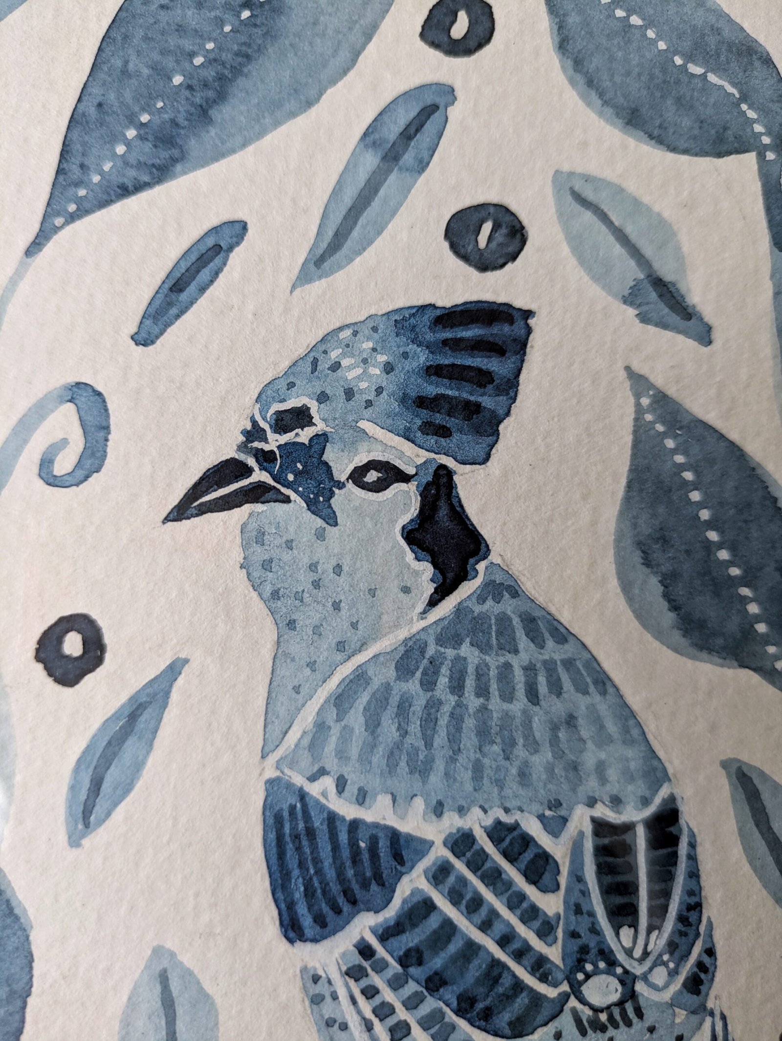 Blue Bird Close up 2