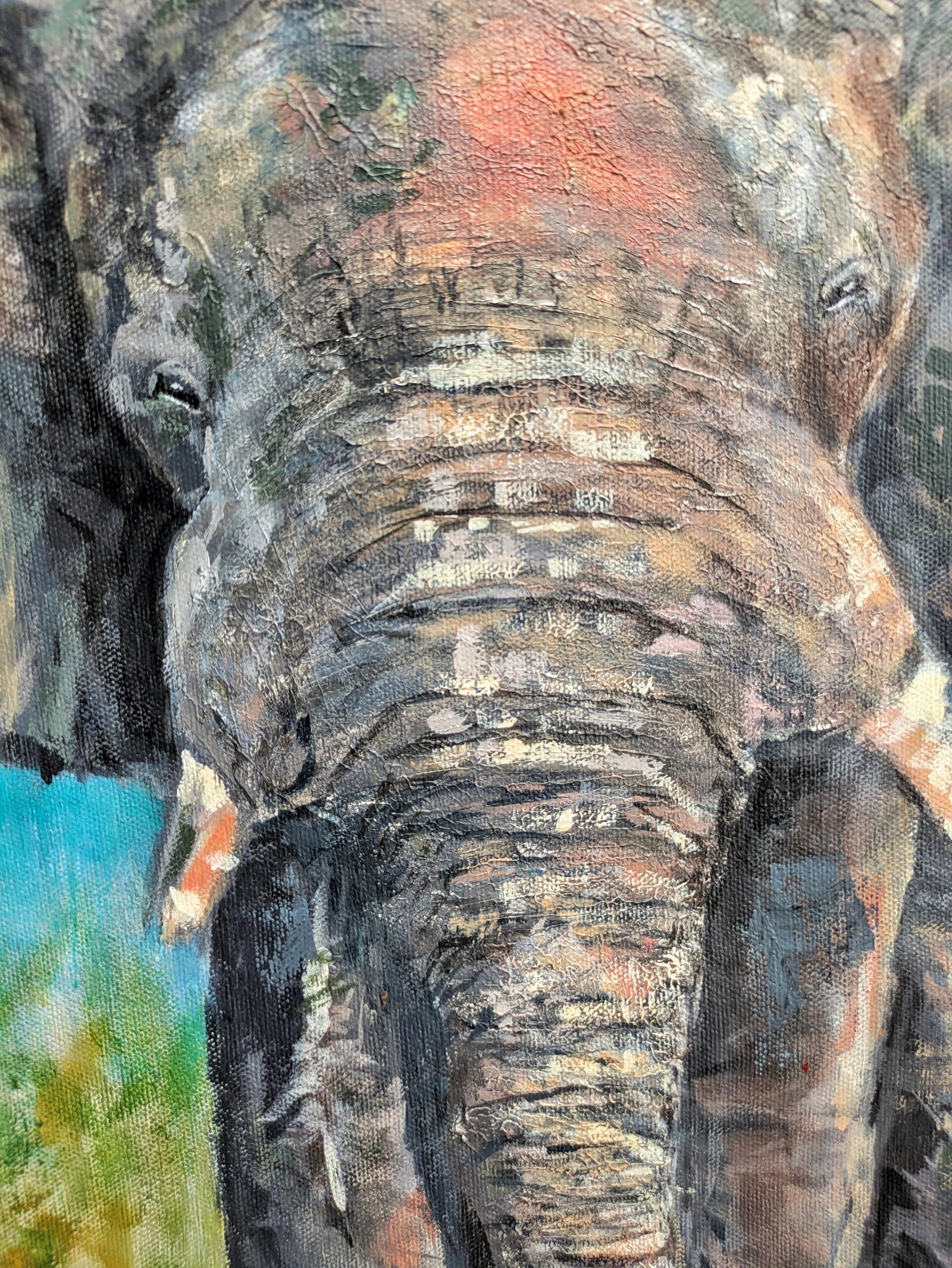 Elephant Close up 2